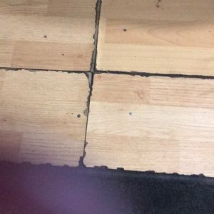 Meet your Posher, Renee